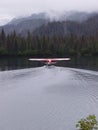 Float plane Royalty Free Stock Photo