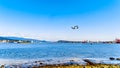 Float plane taking off from the Vancouver Harbor. Royalty Free Stock Photo