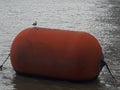 Floatation Buoy