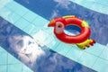 Floater with parrot shape at swimming pool with copy space Royalty Free Stock Photo