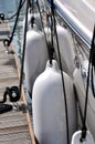 Floater and rope of yacht attach on dock