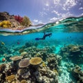 Floating Amongst the Fish: Snorkeling Serenity