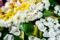 Floating assorted flowers in a big water jar. Royalty Free Stock Photo