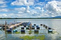 Floating basket fish.