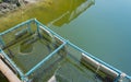 floating basket for keeping live fish in water.