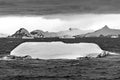 Floating Black White Iceberg Water Antarctica