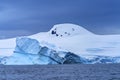 Floating Blue Iceberg Snow Glaciers Mountains Charlotte Harbor Antarctica