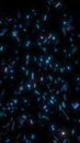 Floating blue light particles on a dark background, creating an abstract futuristic atmosphere with depth and motion Royalty Free Stock Photo