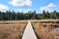 Floating Boardwalk over Grassy Wetland