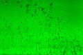 Floating bubbles in green liquid background texture. Royalty Free Stock Photo