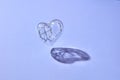 Floating clear heart with twisted wire inside. Royalty Free Stock Photo