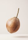 Floating Coconut with Stem Royalty Free Stock Photo