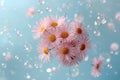 Floating daisies and petals in soft pastel composition Royalty Free Stock Photo