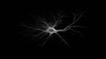 3D Neuron Model Suspended in Dark Space Showcasing Intricate Structure and Branching Connections in a Creative Royalty Free Stock Photo