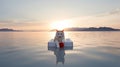 Floating Dog On White Boat: Mischievous Feline Motif In Norwegian Nature