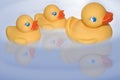 Floating duckies Royalty Free Stock Photo