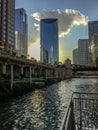 Floating ecosystem along riverwalk of Chicago River during late summer sunset. Royalty Free Stock Photo