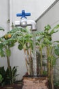Floating Faucet Ripley`s Believe it or Not Outdoor Illusion Watering Plants