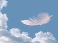 Floating feather over sky - lightness, freedom concept Royalty Free Stock Photo