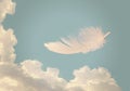 Floating feather over sky - lightness, freedom concept. Royalty Free Stock Photo