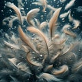 Floating feathers, close up, phot