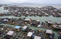 Floating fishing village