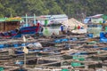 Floating fishing village and fishing boats in Cat Ba Island, Vie