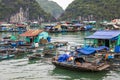 Floating fishing village and fishing boats in Cat Ba Island, Vie