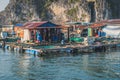 Floating Fishing Village In The Ha Long Bay. Cat Ba Island, Vietnam.