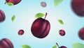 Floating fresh plum with blue sky background