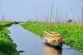 Floating garden in Myanmar