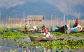 Floating gardens on Inle lake Myanmar