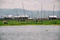 Floating gardens at Taunggyi, Inle Lake.