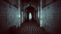 Floating Ghost in a Asylum Halloween Dark Film Grain Analogue Aesthetic Gothic Building with Ghost Hunters Camera Flash