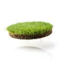 Floating grass slice isolated on white background Royalty Free Stock Photo