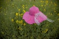 Floating hat in flower field Royalty Free Stock Photo