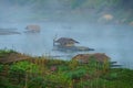 Floating houses, mon village, bathing in fog.