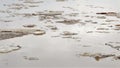 Floating of ice. Debacle. Dirty brown water close-up