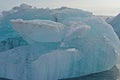 Floating ice on Diamond beach in iceland.