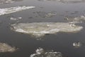Floating ice along the river Royalty Free Stock Photo