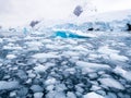 Floating ice floes, drift ice in Cierva Cove in Hughes Bay, Graham Land, Antarctica Royalty Free Stock Photo