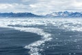 Floating Ice, Greenland