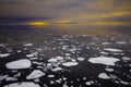 Floating ice during sunset