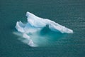 Floating Ice in Glacier Bay Alaska Royalty Free Stock Photo