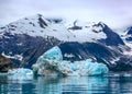 Floating iceberg in Glacier Bay National Park, Alaska Royalty Free Stock Photo