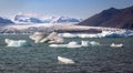 Icebergs in Jokulsarlon glacier lagoon, Iceland Royalty Free Stock Photo