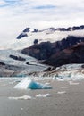 Floating Icebergs Pacific Ocean Aialik Bay Alaska North America Royalty Free Stock Photo