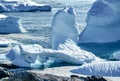 Floating icebergs stranded on beach of Petermann Island, Antarctica