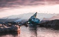 Most Beautiful sunset sunrise in the Glacier lagoon Jokulsarlon Iceland Birds flying around Royalty Free Stock Photo