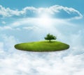 Floating Island with tree